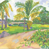 Elise Engler, Flamingo Lagoon, Isabela, 2008